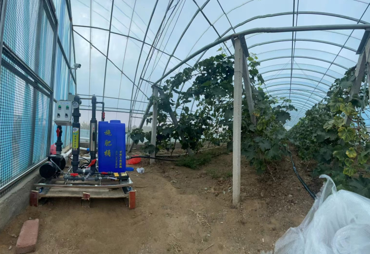 水肥发酵用哪种菌营养最好？发酵效果翻倍的实用菌种搭配指南